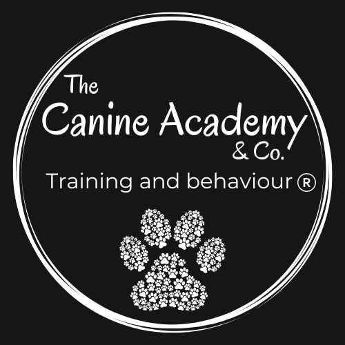 Canine Academy